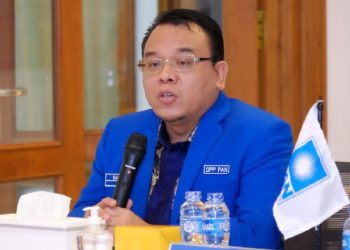 Saleh Daulany, Wakil Ketua Umum DPP PAN (dok. istimewa)