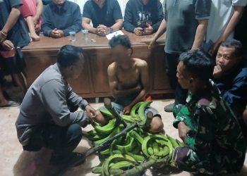 Remaja pencuri pisang di Kabupaten Pati (dok. istimewa)