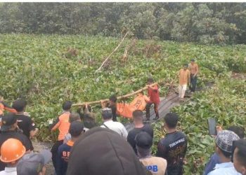 Pria di Morowali Utara tewas diterkam buaya (dok. istimewa)