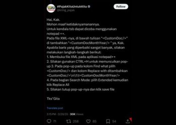 Akun DJP minta wajib pajak coding sendiri (dok. istimewa)