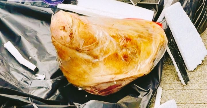 Komite Keselamatan Jurnalis (KKJ) melaporkan teror paket kepala babi ke Tempo ke Bareskrim Polri. (dok. istimewa)