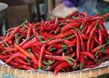 Harga cabai melonjak tajam (dok. istimewa)