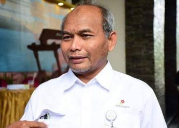 Direktur Jenderal Minyak dan Gas Bumi (Migas) Kementerian Energi dan Sumber Daya Mineral (ESDM) tahun 2018, Djoko Siswanto (dok. istimewa)