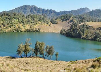Gunung Semeru (dok. istimewa)