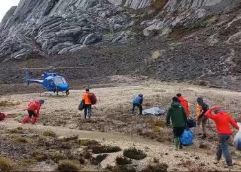 Badan Nasional Pencarian dan Pertolongan (Basarnas) memastikan 13 pendaki Puncak Carstensz Pyramid dalam kondisi selamat (dok. istimewa)