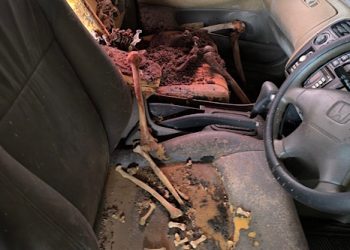 asus kerangka manusia di mobil rusak di Asrama Polisi Ujungpangkah, Gresik, mulai terungkap. (dok. istimewa)