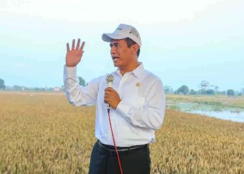 Menteri Pertanian Andi Amran Sulaiman (dok. istimewa)