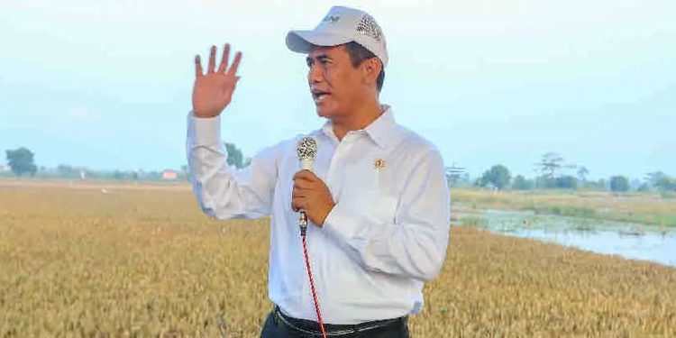 Menteri Pertanian Andi Amran Sulaiman (dok. istimewa)