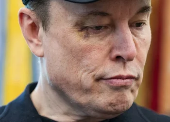 Elon Musk (dok. istimewa)