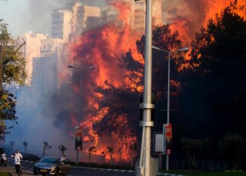 Kebakaran di Israel (dok. BBC)