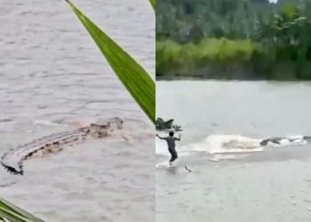 Kakek di Tanggamus Lampung meninggal diterkam buaya di sungai (dok. istimewa)