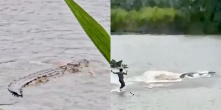 Kakek di Tanggamus Lampung meninggal diterkam buaya di sungai (dok. istimewa)