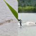 Kakek di Tanggamus Lampung meninggal diterkam buaya di sungai (dok. istimewa)