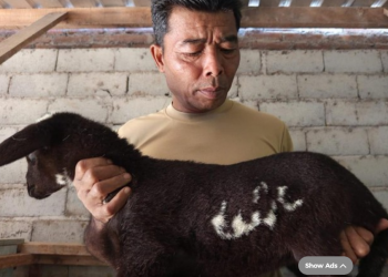 Viral kambing lafaz Allah di Temanggung, Jawa Tengah (dok. istimewa)