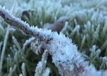 Embun beku di dataran tinggi Dieng, Jawa Tengah (dok. istimewa)