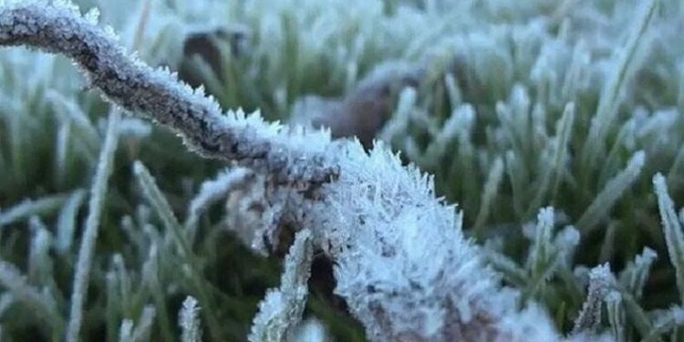 Embun beku di dataran tinggi Dieng, Jawa Tengah (dok. istimewa)