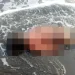 Mayat bayi ditemukan di Pantai Sigandu Batang. (dok. istimewa)