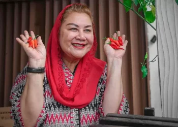 Mantan Wali Kota Semarang, Hevearita Gunaryati Rahayu atau Mbak Ita (dok. istimewa)