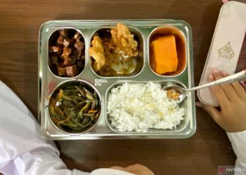 Menu makan bergizi gratis (dok. Antara)