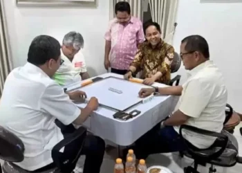Menteri Karding dan Raja Juli main domino dengan pelaku pembalakan hutan (dok. istimewa)