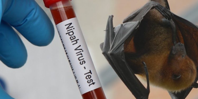 Dua kasus virus Nipah terkonfirmasi di Benggala Barat, India. (dok. istimewa)