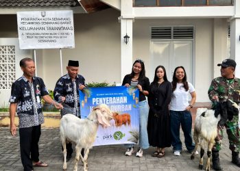 The Park Semarang menyalurkan satu sapi dan dua kambing untuk warga Semarang Barat jelang Iduladha 1447 H melalui program CSR perusahaan. (dok. panduga.id)