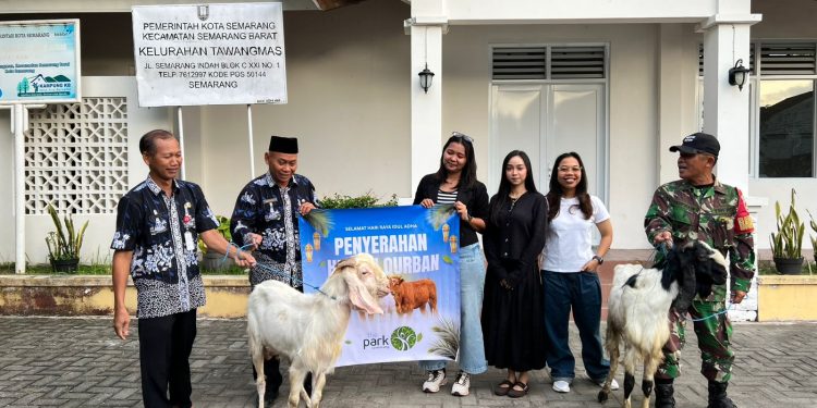 The Park Semarang menyalurkan satu sapi dan dua kambing untuk warga Semarang Barat jelang Iduladha 1447 H melalui program CSR perusahaan. (dok. panduga.id)