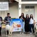 The Park Semarang menyalurkan satu sapi dan dua kambing untuk warga Semarang Barat jelang Iduladha 1447 H melalui program CSR perusahaan. (dok. panduga.id)