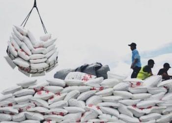 Ilustrasi gula oplosan (dok. istimewa)