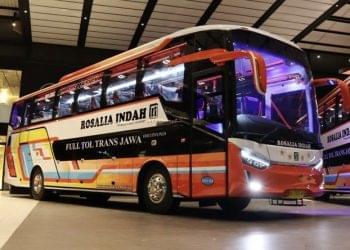 Bus Rosalia Indah (dok. istimewa)