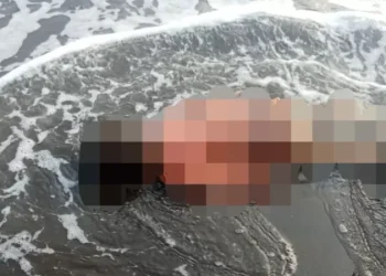 Mayat bayi ditemukan di Pantai Sigandu Batang. (dok. istimewa)